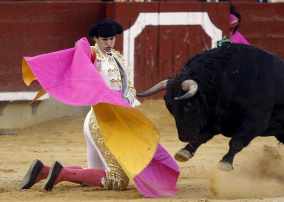 Corrida olé